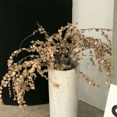 原创Furry角色设计思路福瑞群